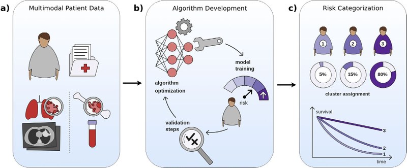 Schema von LENS: multimodale Patientendaten, Entwicklung des Algorithmus, Einteilung nach Risiko